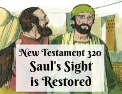 NT 320 - Saul's Sight is Restored